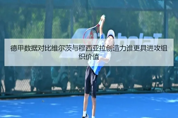 德甲数据对比维尔茨与穆西亚拉创造力谁更具进攻组织价值（kaiyun）